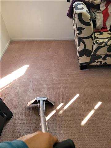 🧼 Arizmendi's Carpet Cleaning image 3