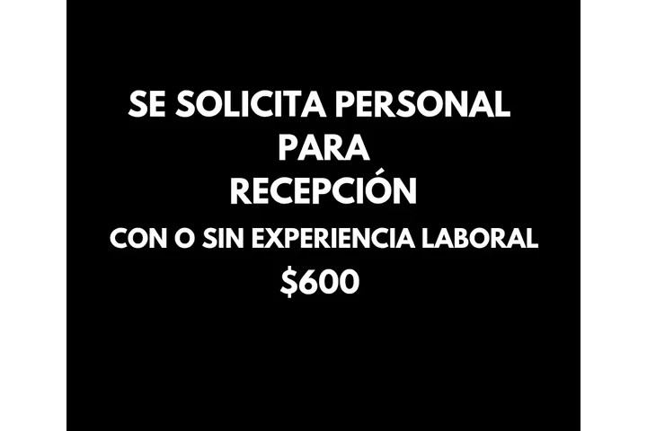 Vacante disponible /recepción image 1