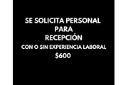 Vacante disponible /recepción en Guayaquil