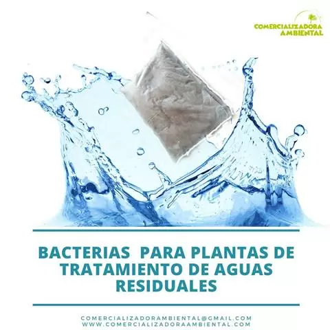 Bioenzimático para Plantas image 3