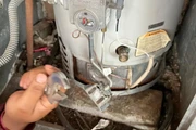 BOILER REPARO PLOMERO en Los Angeles