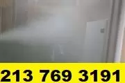 FUMIGACION PROFUNDA 2137693191 thumbnail