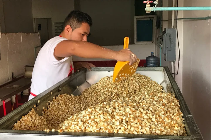 Production de Tortillas image 2