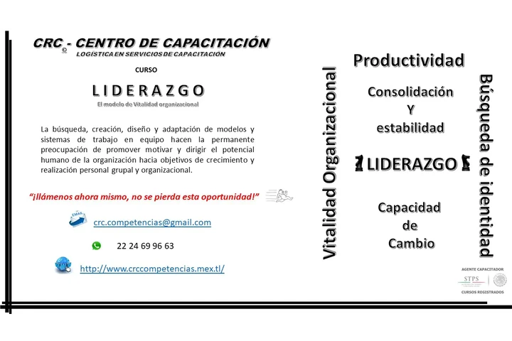CURSO CAPACITACION LIDERAZGO image 5