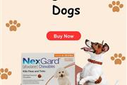 Nexgard for Dogs en Birmingham