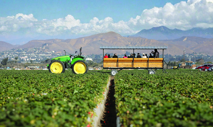 Disfrute del Día de la granja, un evento para toda la familia