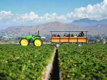 Disfrute del Día de la granja, un evento para toda la familia