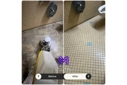 Expert Floor & Carpet Cleaning thumbnail