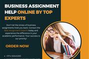 Business Assignment Help en London