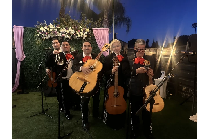 🎺MARIACHI SILVESTRE🎺 image 3