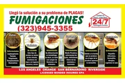 PROTEGE TU CASA DE LAS PLAGAS. thumbnail