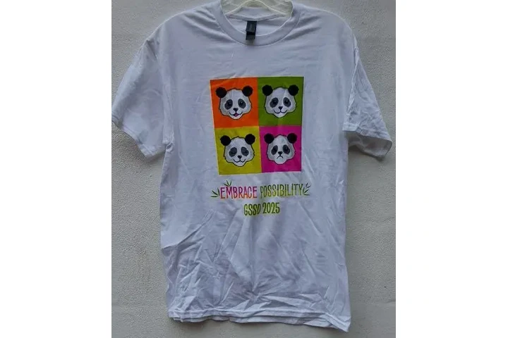 $400 : 10 PLAYERAS TALLA MEDIANA EN V image 7