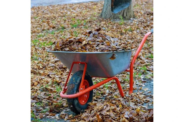 Expertos en Lawn Care image 5