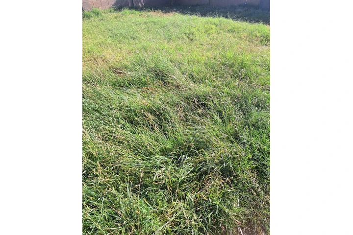 Premium Lawn Care image 5