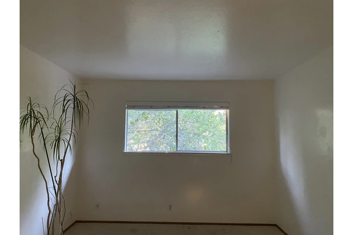 $1400 : Cuarto espacioso image 1