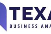 Texas Business Analytics en Austin