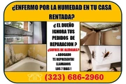 EL DUEÑO NO HACE REPARACIONES! thumbnail