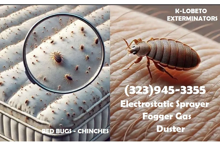 FUMIGADORES MAYWOOD 24/7 image 3