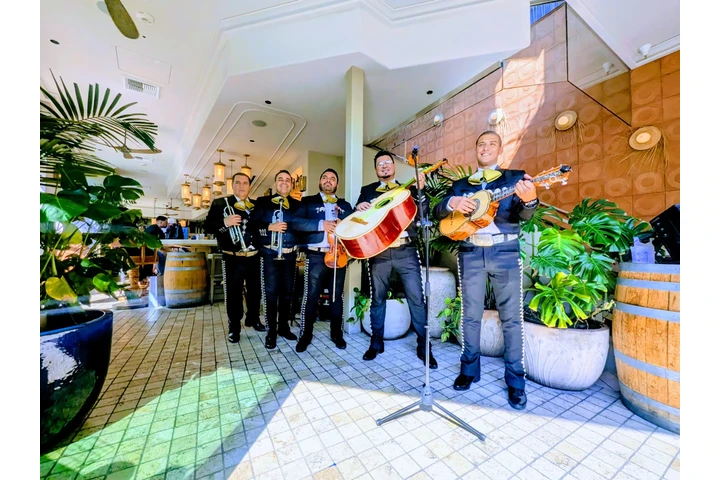 Mariachi responsable y profesi image 6