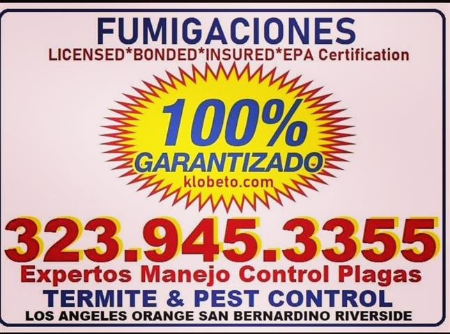 PEST CONTROL SERVICES NEAR ME. image 6