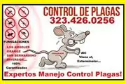 SERVICES PEST CONTROL