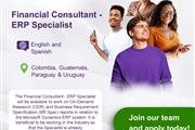 Financial Consultant - ERP en Asuncion