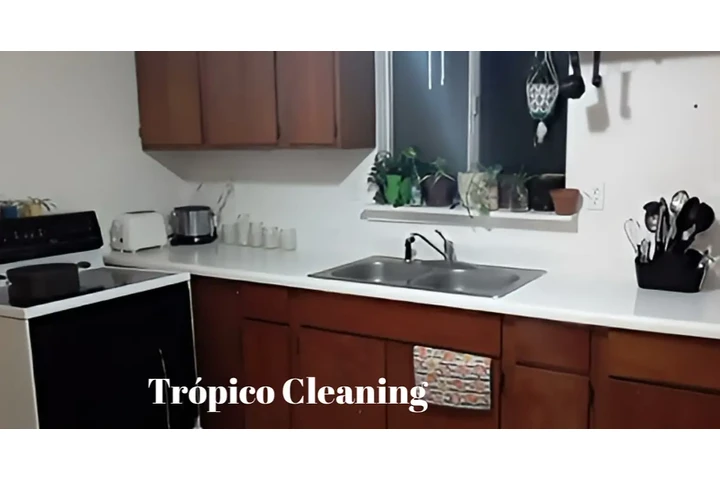 Tropico Cleaning image 4