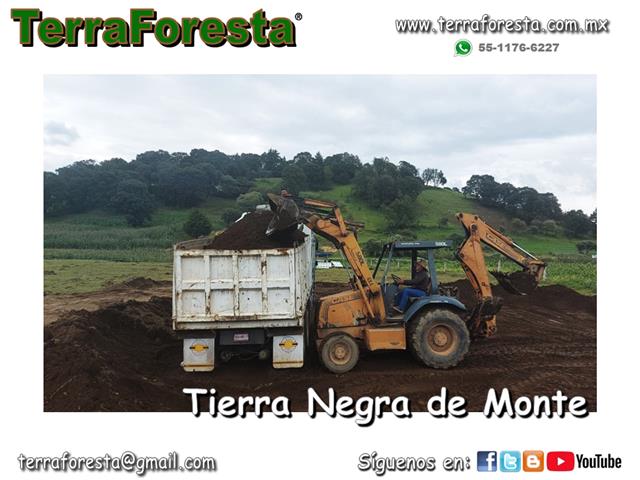 TIERRA NEGRA POR CAMION o BULT image 2