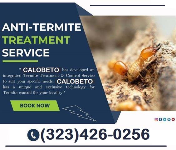 *TERMITE CONTROL GARANTIZADOS* image 10