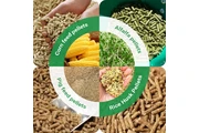 Kawise Pellet Machine en Aguascalientes