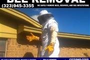 Control Abejas-removemos panal thumbnail