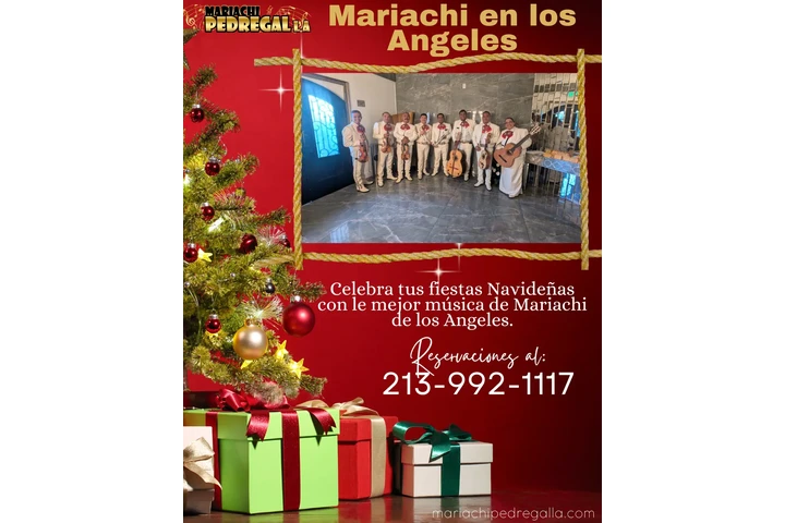 Mariachi pedregal 213 9921117 image 1
