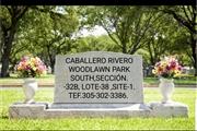 CABALLERO RIVERO TERRENO SOUTH thumbnail