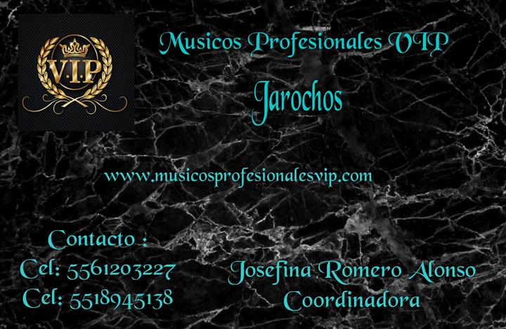 Músicos Profesionales VIP image 8