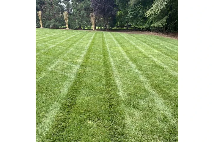 Servicios de Jardinería image 4