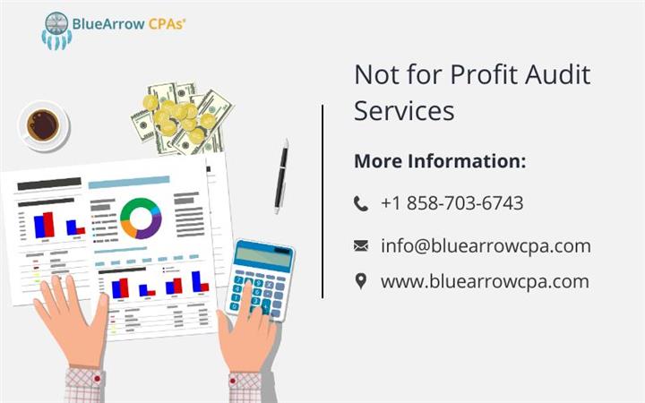 Not for Profit Audit Services image 1