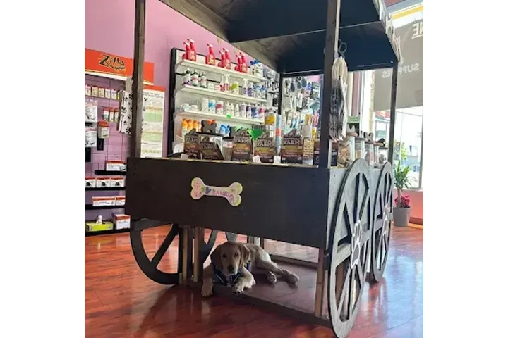 Canine Cuisine image 5