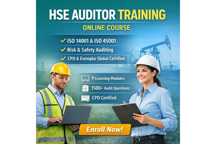 HSE Auditor Trainin Online image 1