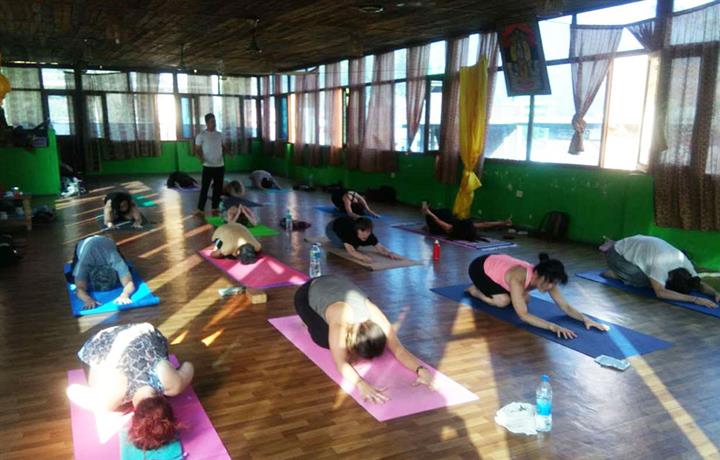 200-hours Yoga TTC in Rishikes image 5