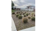 🌱✨ Palacios Landscaping ✨🌱 thumbnail