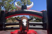 Mechanical bull-Orange Country en Orange County