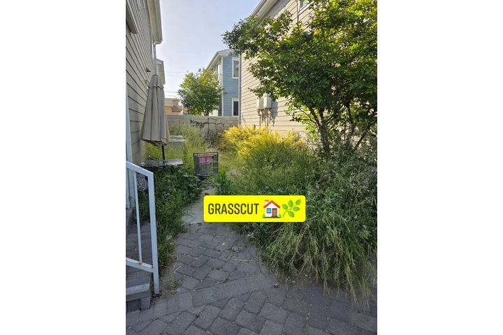Grasscut 🌿👷🏻🏡 $35 image 8