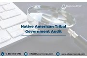 Native Amer. Tribal Gov. Audit