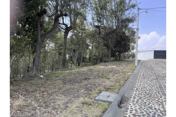 $97000 : Terreno en Antigua Gardens image 7