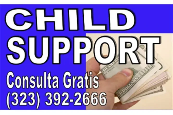 █►CUSTODIA HIJOS⁉️►CARTA PODER image 2