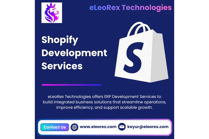 Shopify Development Services image 1