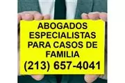 MODIFICAR CUSTODIA DE HIJOS ?