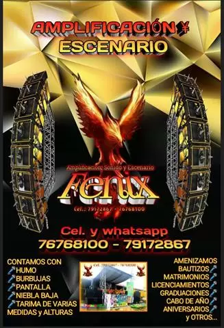 AMPLIFICACION FENIX image 1