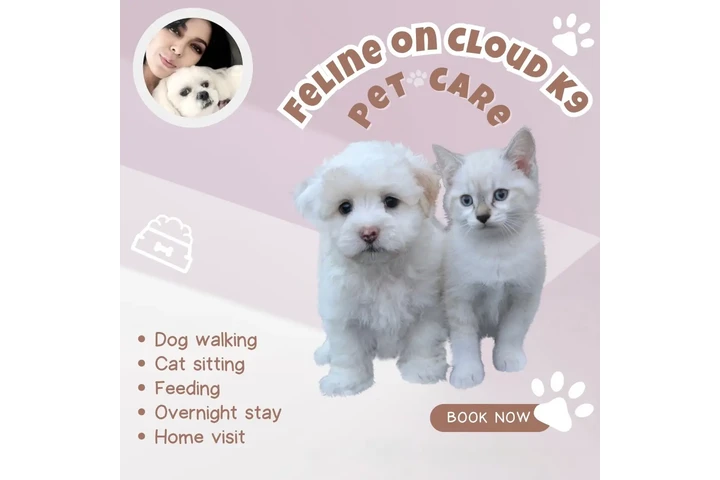 Cuidado de Mascotas image 1