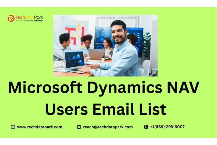 MS Dynamics NAV Customers List image 1